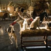 Hotel for Dogs - galeria zdjęć - filmweb