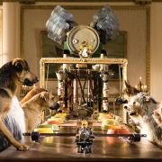 Hotel for Dogs - galeria zdjęć - filmweb