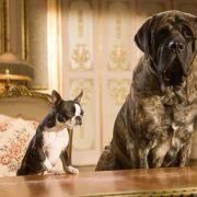 Hotel for Dogs - galeria zdjęć - filmweb