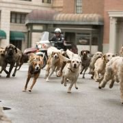 Hotel for Dogs - galeria zdjęć - filmweb