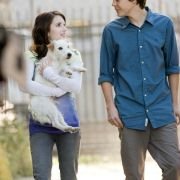 Hotel for Dogs - galeria zdjęć - filmweb