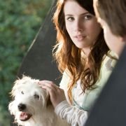 Hotel for Dogs - galeria zdjęć - filmweb