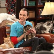 The Big Bang Theory - galeria zdjęć - filmweb