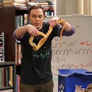 The Big Bang Theory - galeria zdjęć - filmweb