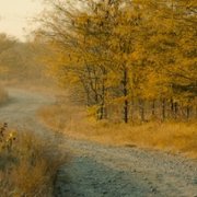 God Was Here! - galeria zdjęć - filmweb