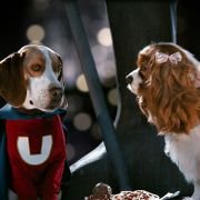 Underdog - galeria zdjęć - filmweb