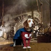 Underdog - galeria zdjęć - filmweb
