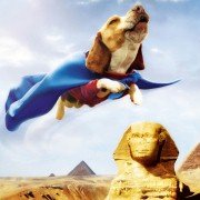 Underdog - galeria zdjęć - filmweb