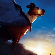 Underdog - galeria zdjęć - filmweb