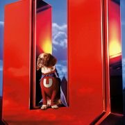 Underdog - galeria zdjęć - filmweb