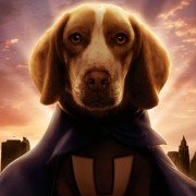Underdog - galeria zdjęć - filmweb