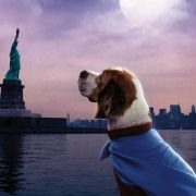 Underdog - galeria zdjęć - filmweb