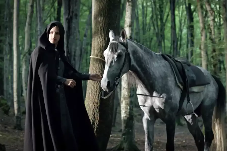 The Protector - galeria zdjęć - filmweb