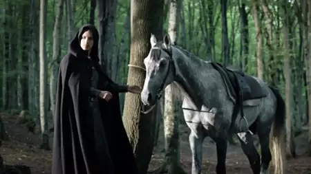 The Protector - galeria zdjęć - filmweb