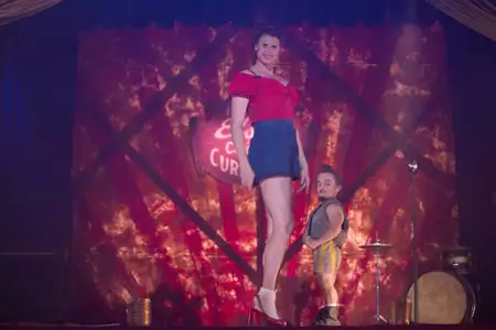 American Horror Story: Freak Show - galeria zdjęć - filmweb