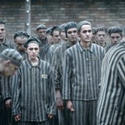 The Tattooist of Auschwitz - galeria zdjęć - filmweb