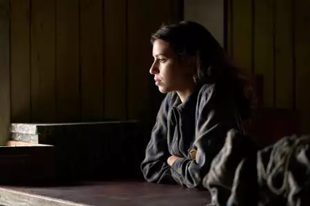 Tatuażysta z Auschwitz - galeria zdjęć - filmweb
