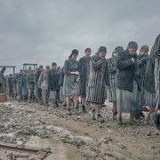 The Tattooist of Auschwitz - galeria zdjęć - filmweb