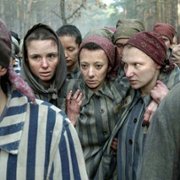 The Tattooist of Auschwitz - galeria zdjęć - filmweb