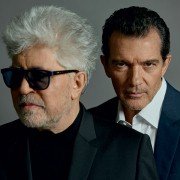 Dolor y gloria - galeria zdjęć - filmweb