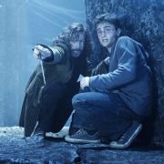 Harry Potter i Zakon Feniksa - galeria zdjęć - filmweb