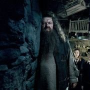 Harry Potter i Zakon Feniksa - galeria zdjęć - filmweb