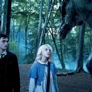 Harry Potter and the Order of the Phoenix - galeria zdjęć - filmweb