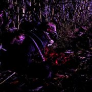 Wellington Paranormal - galeria zdjęć - filmweb