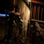 Wellington Paranormal - galeria zdjęć - filmweb