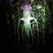 Wellington Paranormal - galeria zdjęć - filmweb