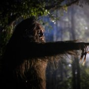 Wellington Paranormal - galeria zdjęć - filmweb