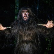 Wellington Paranormal - galeria zdjęć - filmweb
