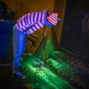 Wellington Paranormal - galeria zdjęć - filmweb