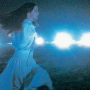 Phenomena - galeria zdjęć - filmweb