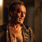 Dominion - galeria zdjęć - filmweb