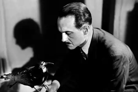Kruk - galeria zdjęć - filmweb