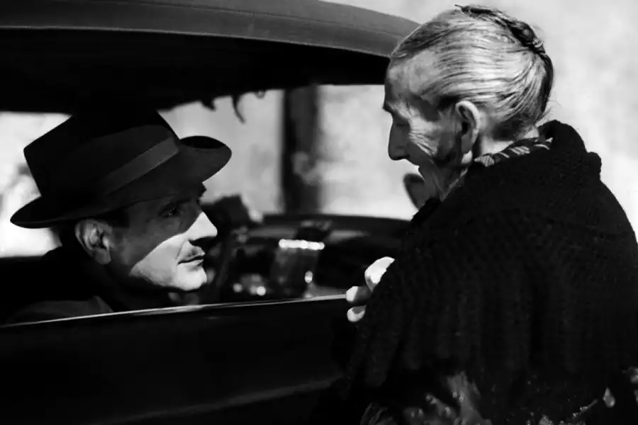 Kruk - galeria zdjęć - filmweb