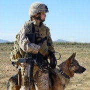 Megan Leavey - galeria zdjęć - filmweb