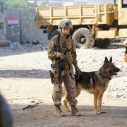 Megan Leavey - galeria zdjęć - filmweb