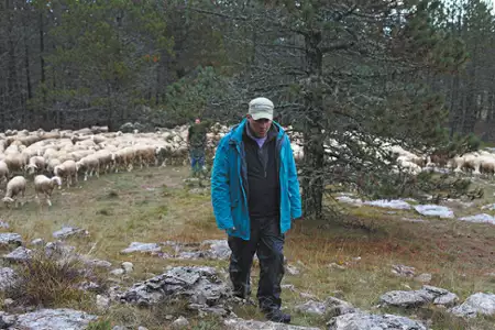 W pionie - galeria zdjęć - filmweb