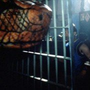 Pyton - galeria zdjęć - filmweb