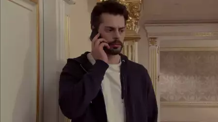 Zranione ptaki - galeria zdjęć - filmweb
