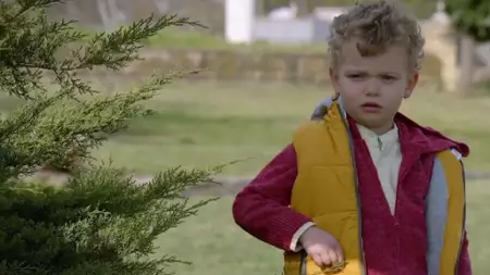 Zranione ptaki - galeria zdjęć - filmweb