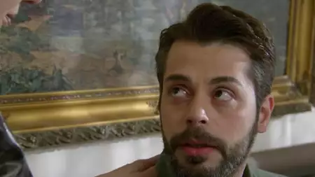 Zranione ptaki - galeria zdjęć - filmweb