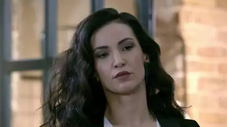 Zranione ptaki - galeria zdjęć - filmweb