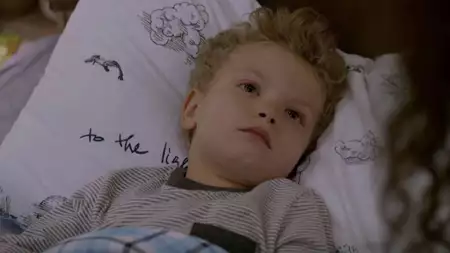 Zranione ptaki - galeria zdjęć - filmweb