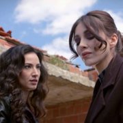 Zranione ptaki - galeria zdjęć - filmweb