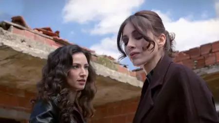 Zranione ptaki - galeria zdjęć - filmweb