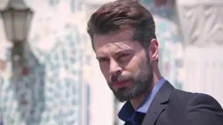 Zranione ptaki - galeria zdjęć - filmweb