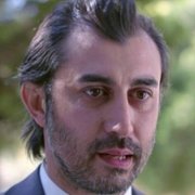 Zranione ptaki - galeria zdjęć - filmweb